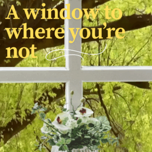 WindowVue Vista Live Window