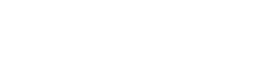Window Vue